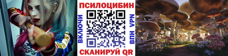 Псилоцибиновые грибы мухоморы  Купить закладки  Рыбинск 